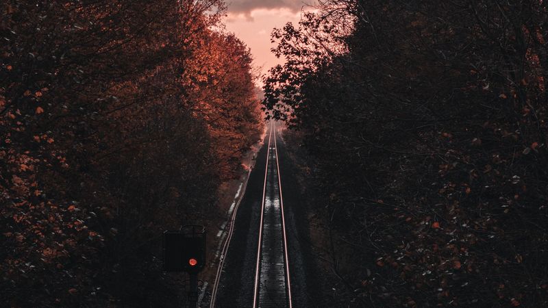 rails, railway, aerial view, trees, dusk, 4k