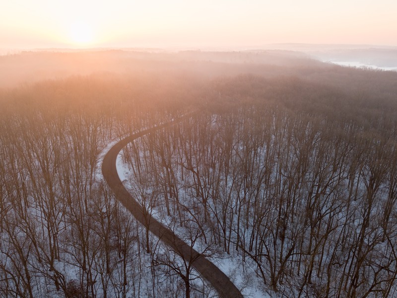 forest, snow, road, nature, hd, 4k, photography