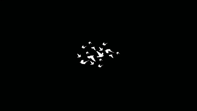 birds, dark, minimalism, black, hd, 4k, artist