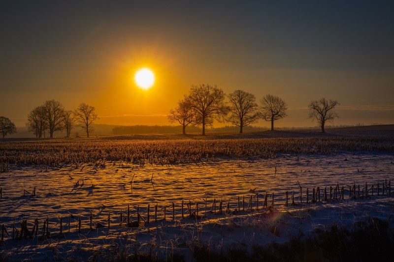 field, sunrise, sunset, hd, 4k, 5k, nature