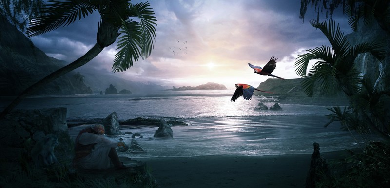 deviantart, macaw, parrot, artist, artwork, digital art, hd, deviantart, 4k, beach