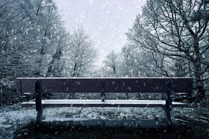 snowfall, nature, hd, 4k