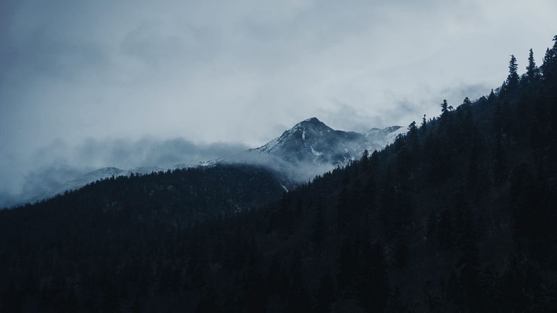 mountain, peak, clouds, trees, landscape, 4k