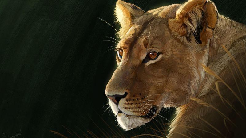 lioness, big cat, predator, glance, art, 4k