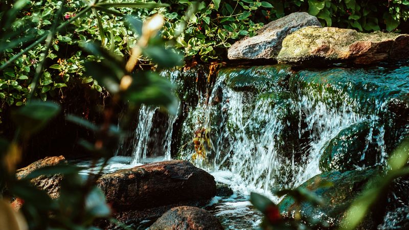 waterfall, water, stones, river, bushes, 4k
