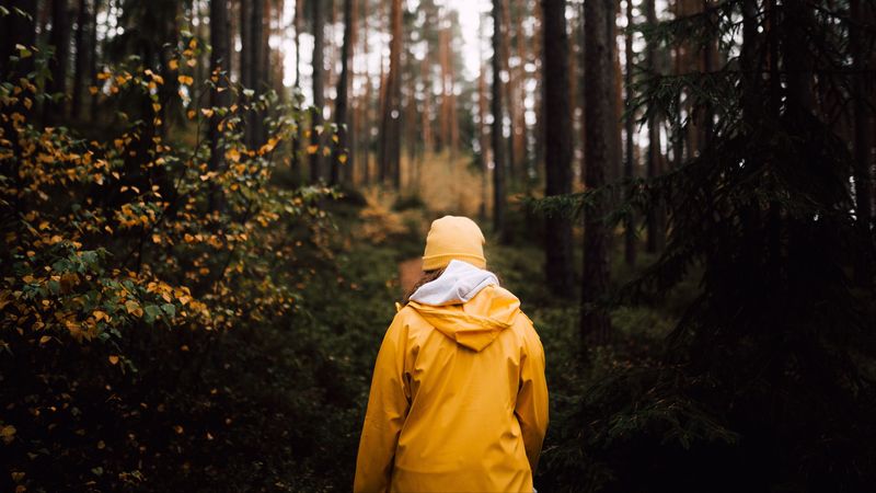 man, forest, walk, yellow, nature, 4k