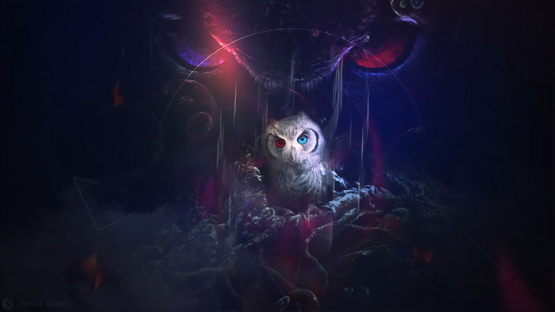 owl, birds, artist, artwork, digital art, hd, 4k, 5k, 8k, deviantart