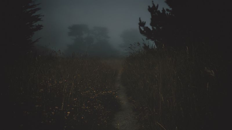 path, fog, dark, dusk, nature, 4k