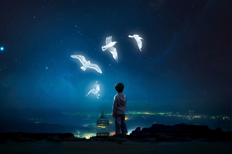 birds, artist, child, artwork, digital art, hd, deviantart