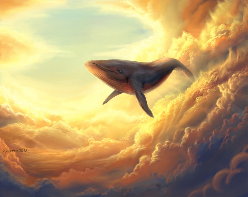 whale, clouds, artist, artwork, digital art, hd, 4k