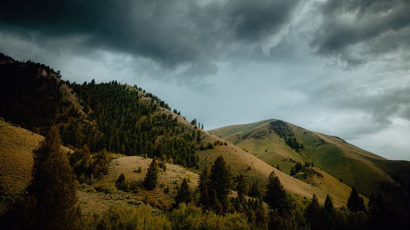 mountains, hills, trees, slopes, landscape, 4k