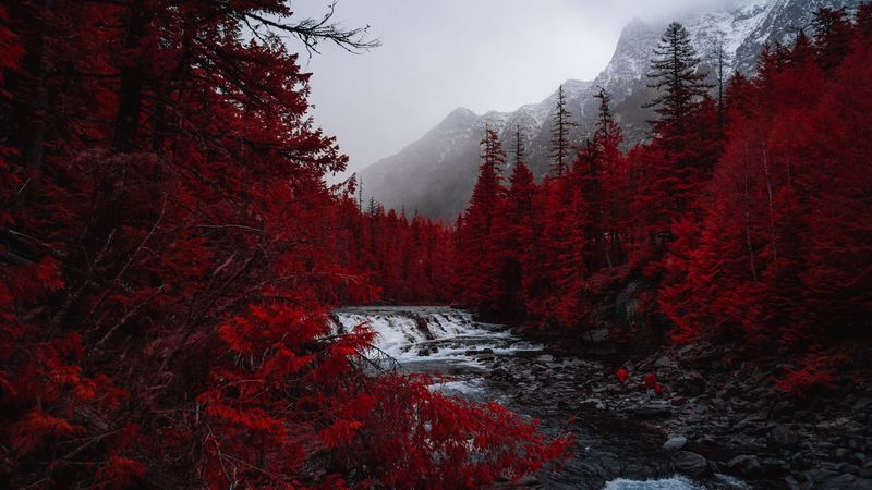 river, trees, red, mountains, fog, landscape, 4k