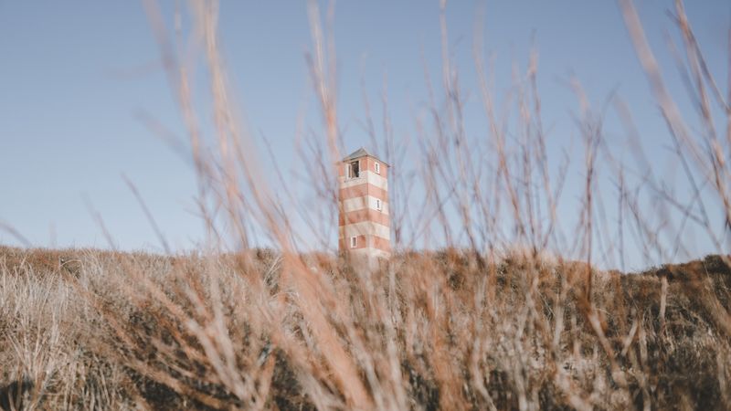 tower, building, bushes, grass, nature, 4k