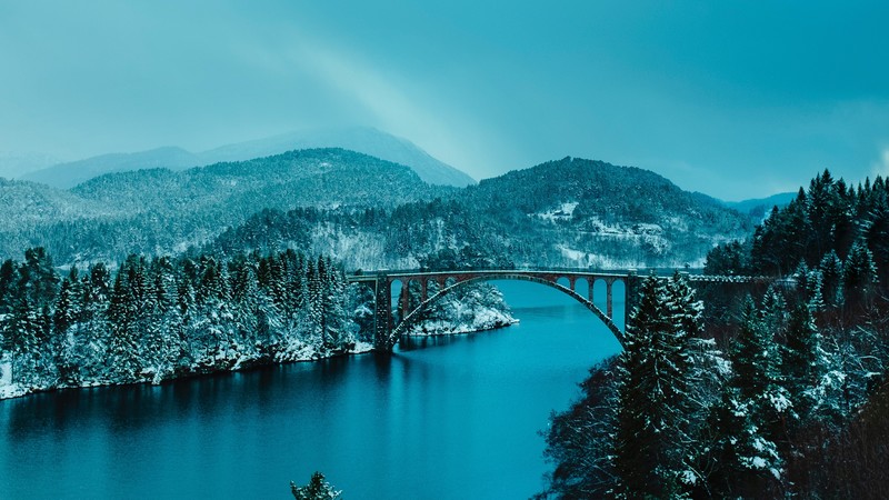 forest, lake, bridge, nature, hd, 4k