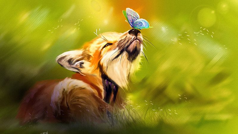 fox, butterfly, cute, animal, art, 4k HD Wallpaper