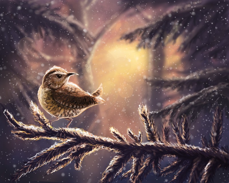 birds, artist, artwork, digital art, hd, behance