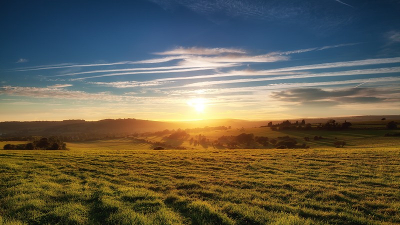 sunset, field, nature, hd, 4k