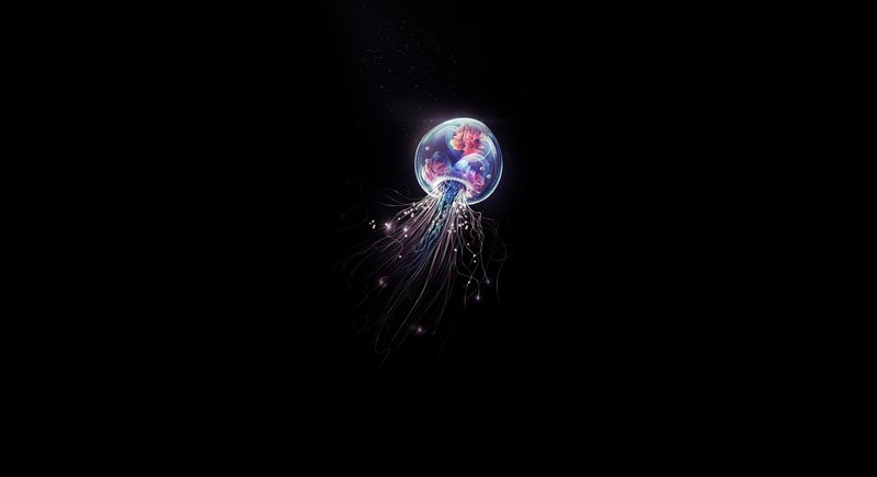 jellyfish, minimalism, minimalist, artist, artwork, digital art, hd, 4k