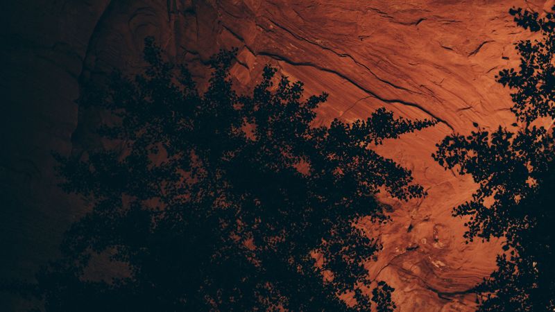 cave, rock, trees, stony, 4k