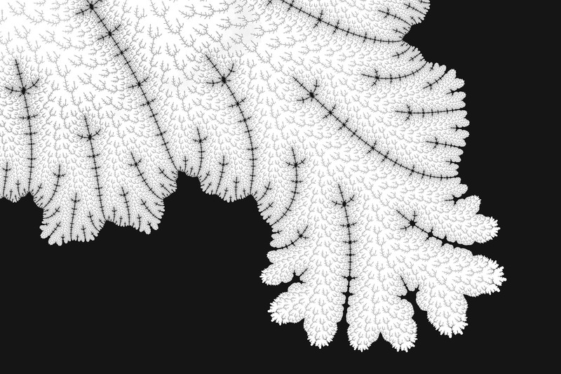abstract, leaf, hd, black and white, behance