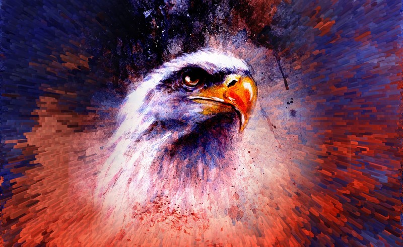 eagle, abstract, artist, artwork, digital art, hd, 4k, 5k