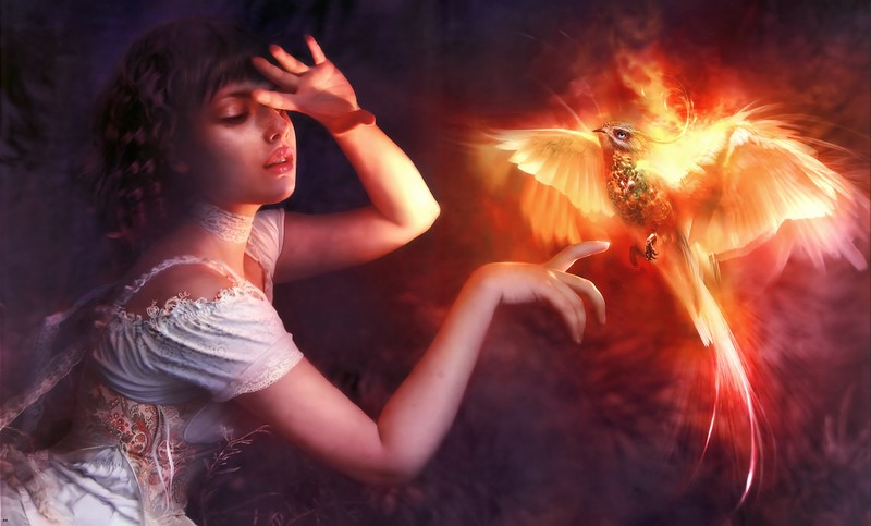 phoenix, artist, artwork, digital art, hd, 4k