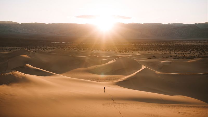 silhouette, desert, dunes, sand, rays, 4k