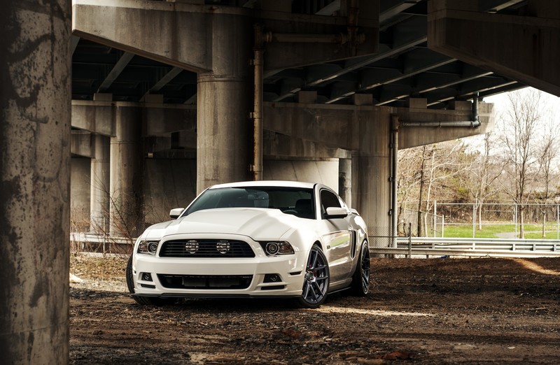 ford mustang, shelby, ford, 2019 cars, hd, 4k, cars