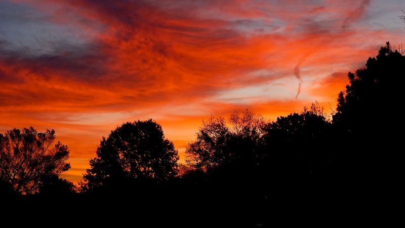 dusk, trees, dark, clouds, sunset, 4k
