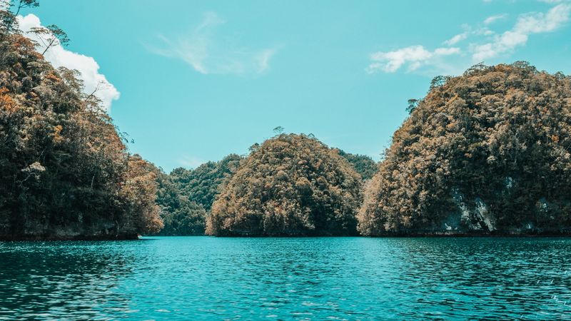 islands, trees, water, coast, nature, 4k