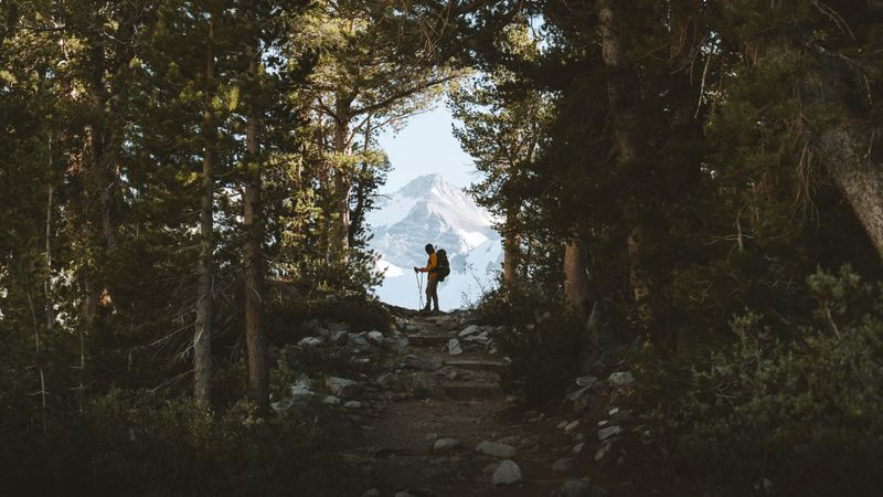 tourist, silhouette, forest, trees, mountain, nature, 4k