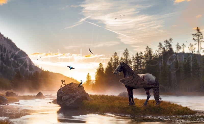 horse, artist, artwork, digital art, hd, 4k, dreamy, deviantart