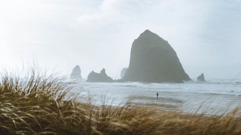 sea, rocks, coast, silhouette, nature, 4k