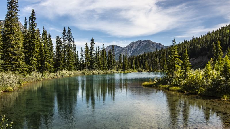 mountains, peaks, lake, forest, trees, 4k