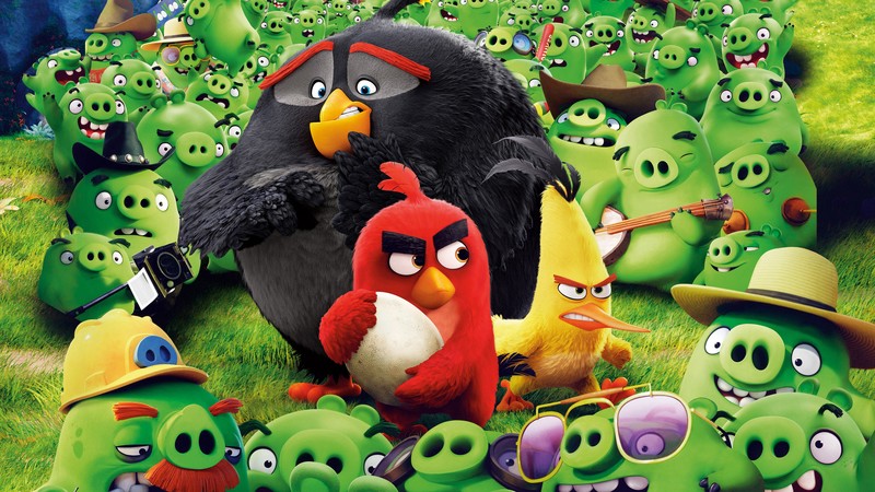 angry birds, birds, movies, animated movies, the angry birds movie, hd, 4k