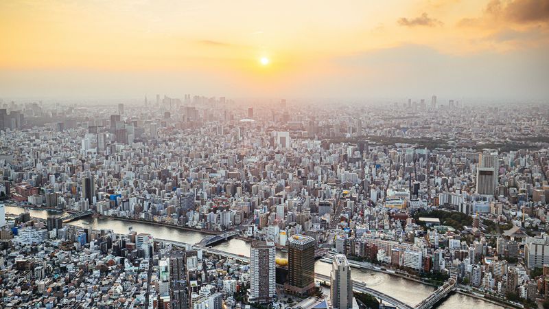 city, buildings, aerial view, fog, metropolis, dawn, 4k