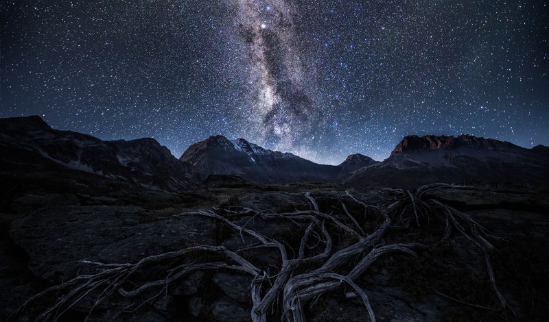 stars, night, nature, hd, 4k, 5k
