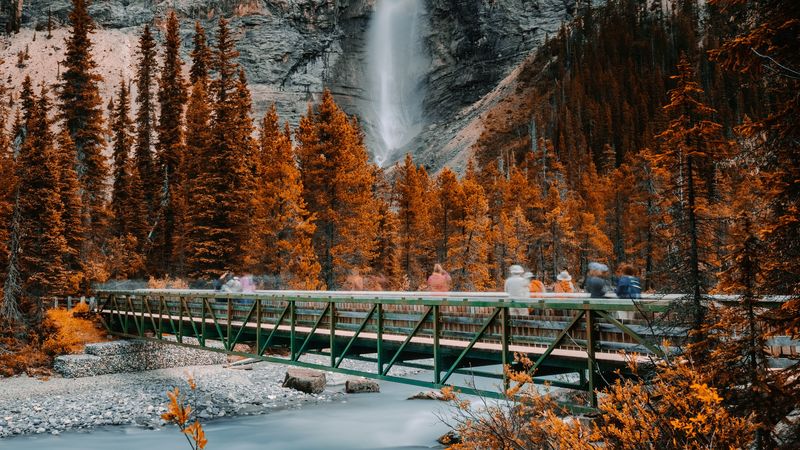 bridge, waterfall, river, rock, trees, nature, 4k