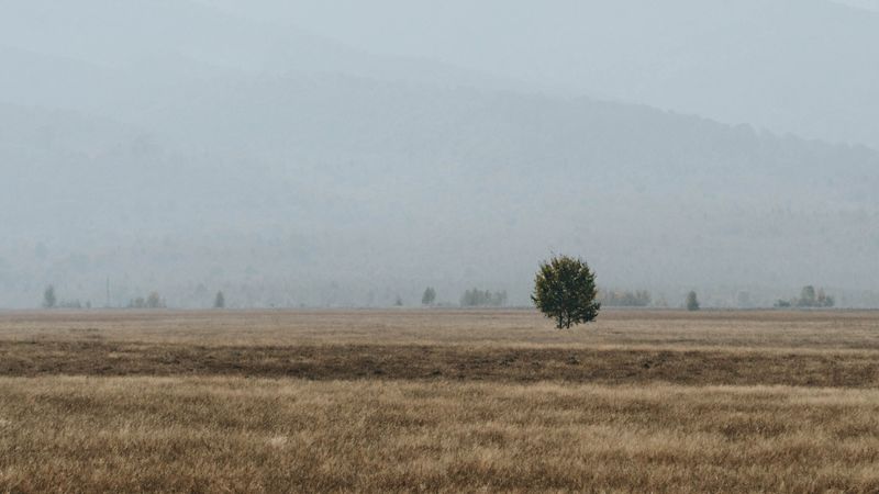 field, mountains, fog, landscape, nature, 4k