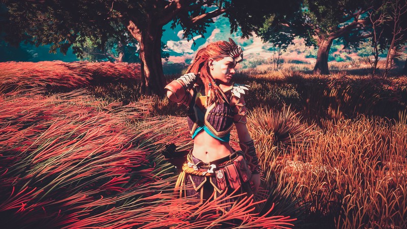 aloy, horizon zero dawn, games, pc games, xbox games, ps games, hd, 4k