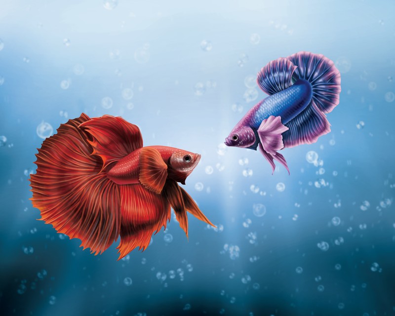 fish, hd, 4k, artist, behance, digital art