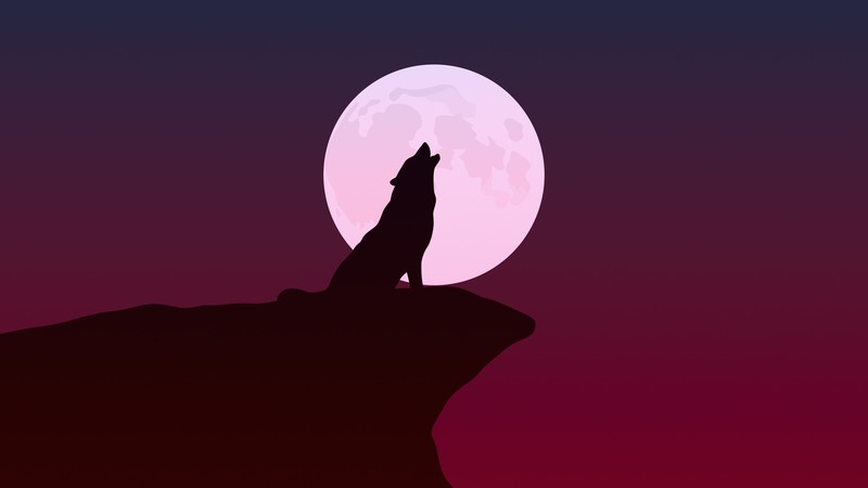wolf, minimalism, minimalist, artist, artwork, digital art, hd, 4k, deviantart