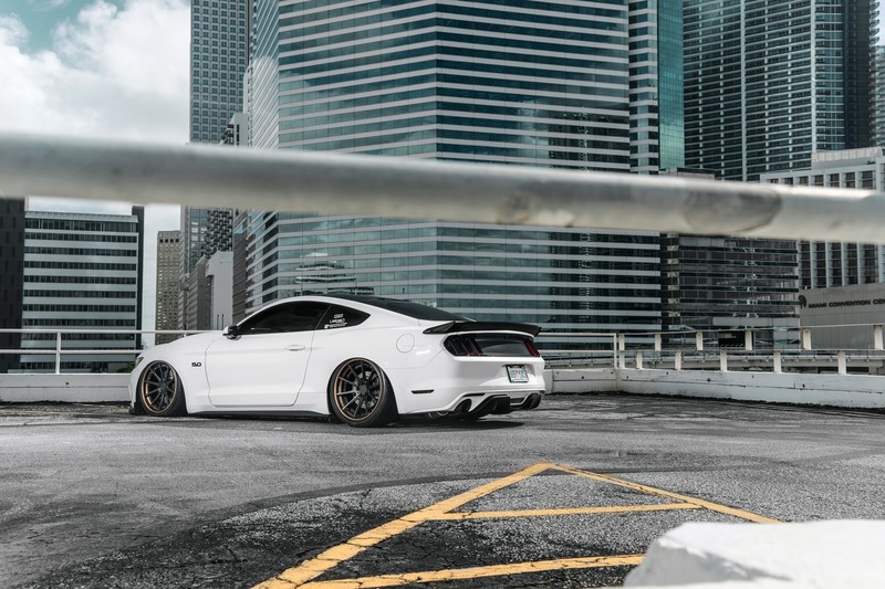 ford mustang, mustang, cars, hd, 4k, 5k