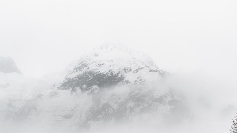 mountain, peak, fog, trees, landscape, winter, 4k