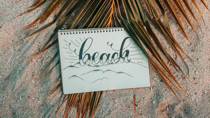 beach, notebook, palm, branch, sand, text, 4k