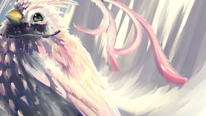 bird, pink, feathers, art, 4k