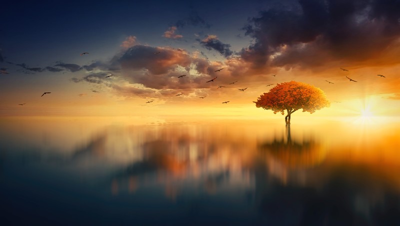 morning, tree, artist, artwork, digital art, hd, 4k, 5k, birds