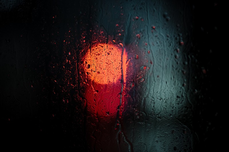 macro, drops, rain, photography, hd, 4k, 5k