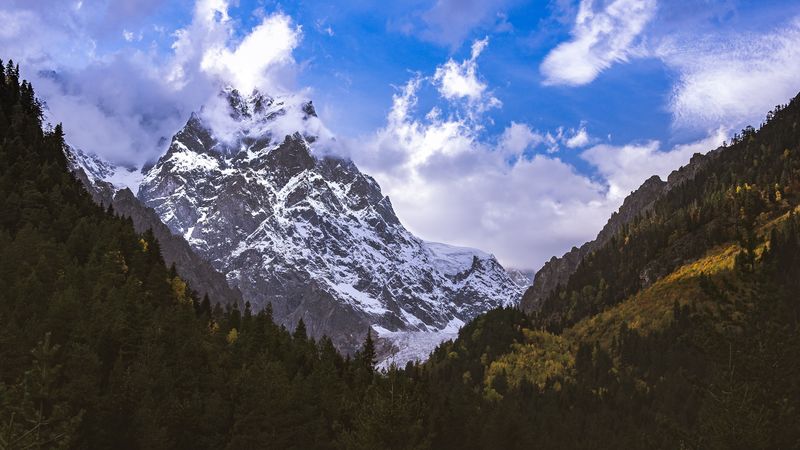 mountain, peak, snow, forest, trees, landscape, 4k