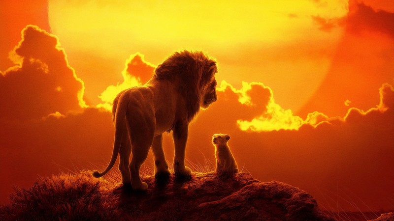 the lion king, lion, 2019 movies, movies, hd, 4k, disney, simba
